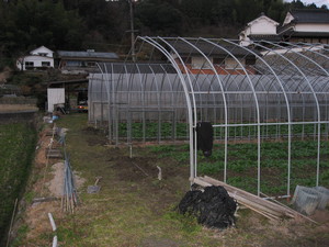 中古ハウス解体３