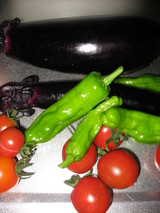 なすししとうとまと